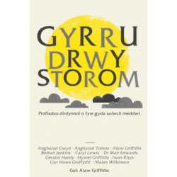 Gyrru drwy Storom