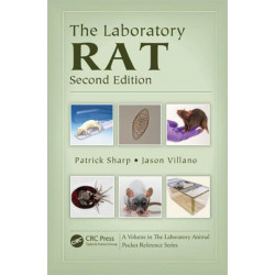 The Laboratory Rat