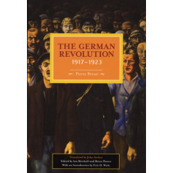 German Revolution, 1917-1923: Historical Materialism, Volume 5