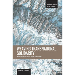 Weaving Transnational Solidarity: From The Catskills To Chiapas And Beyond: Studies in Critical Social Sciences, Volume 24