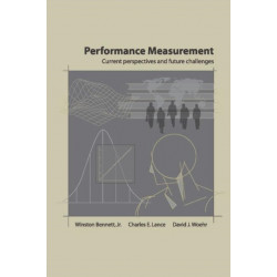 Performance Measurement: Current Perspectives and Future Challenges