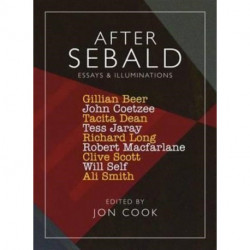 After Sebald: Essays and Illuminations