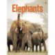 Elephants