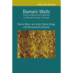 Domain Walls: From Fundamental Properties to Nanotechnology Concepts