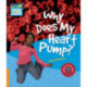 Why Does My Heart Pump? Level 6 Factbook