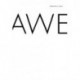 Awe
