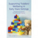 Supporting Toddlers' Wellbeing in Early Years Settings: Strategies and Tools for Practitioners and Teachers