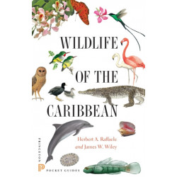 Wildlife of the Caribbean