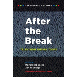 After the Break: Television Theory Today