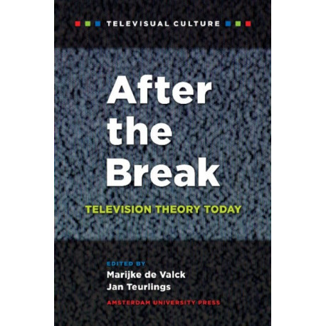 After the Break: Television Theory Today