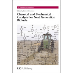 Chemical and Biochemical Catalysis for Next Generation Biofuels