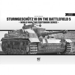 Sturmgeschutz III on the Battlefield 5