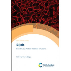 Bijels: Bicontinuous Particle-stabilized Emulsions