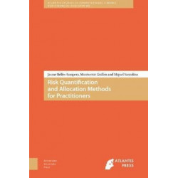 Risk Quantification and Allocation Methods for Practitioners