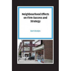 Neighbourhood Effects on Firm Success and Strategy