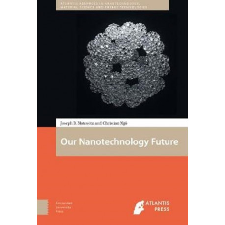 Our Nanotechnology Future