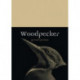 Woodpecker