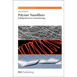 Polymer Nanofibers: Building Blocks for Nanotechnology