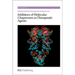 Inhibitors of Molecular Chaperones as Therapeutic Agents