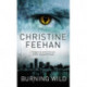 Burning Wild: Number 3 in series