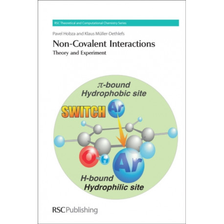 Non-Covalent Interactions: Theory and Experiment