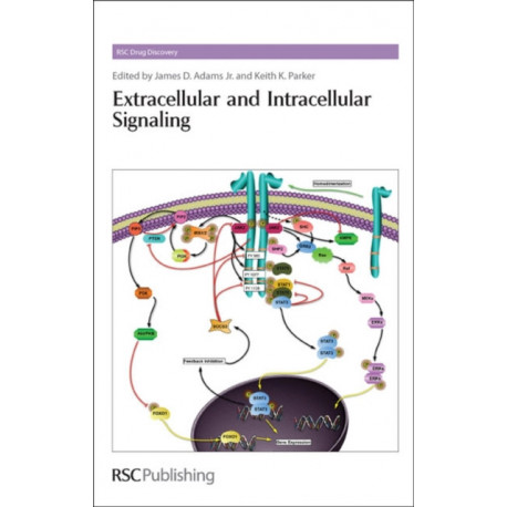 Extracellular and Intracellular Signaling