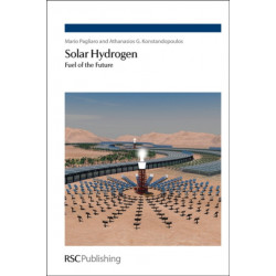 Solar Hydrogen: Fuel of the Future