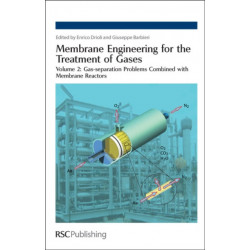 Membrane Engineering for the Treatment of Gases: Volume 2: Gas-separation Problems Combined with Membrane Reactors