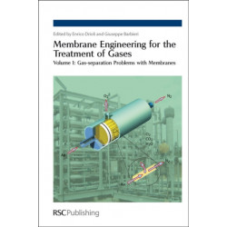 Membrane Engineering for the Treatment of Gases: Volume 1: Gas-separation Problems with Membranes