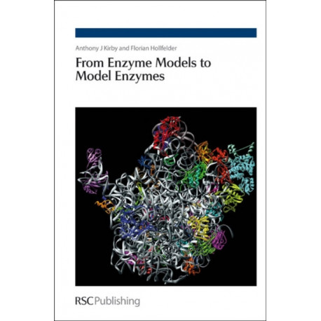 From Enzyme Models to Model Enzymes