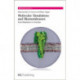 Molecular Simulations and Biomembranes: From Biophysics to Function