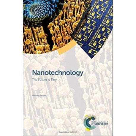 Nanotechnology: The Future is Tiny