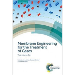 Membrane Engineering for the Treatment of Gases: Two-volume Set