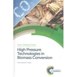 High Pressure Technologies in Biomass Conversion