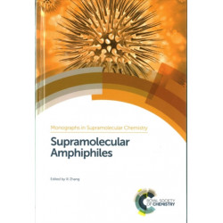 Supramolecular Amphiphiles