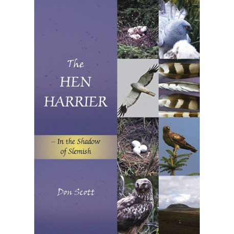 The Hen Harrier: In the Shadow of Slemish
