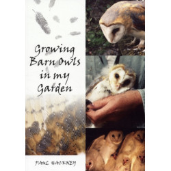 Growing Barn Owls in My Garden