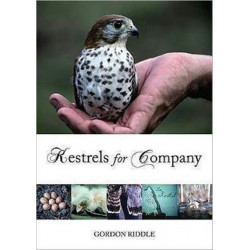 Kestrels for Company
