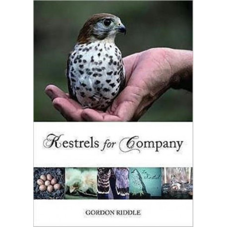 Kestrels for Company