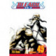 Bleach, Vol. 45: The Burnout Inferno