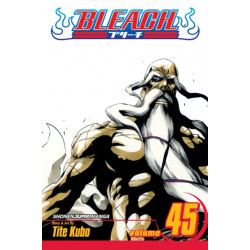 Bleach, Vol. 45: The Burnout Inferno