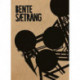 Bente Sætrang