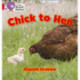 Chick to Hen: Band 02a/Red a