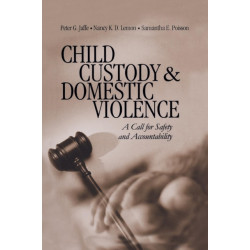 Child Custody and Domestic Violence: A Call for Safety and Accountability