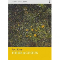 Herbaceous