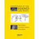 Examination of the Hand and Wrist