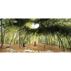 Nature: Collaborations in Design