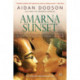 Amarna Sunset: Nefertiti, Tutankhamun, Ay, Horemheb, and the Egyptian Counter-Reformation (Revised Edition)