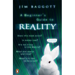 A Beginner's Guide to Reality