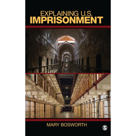 Explaining U.S. Imprisonment